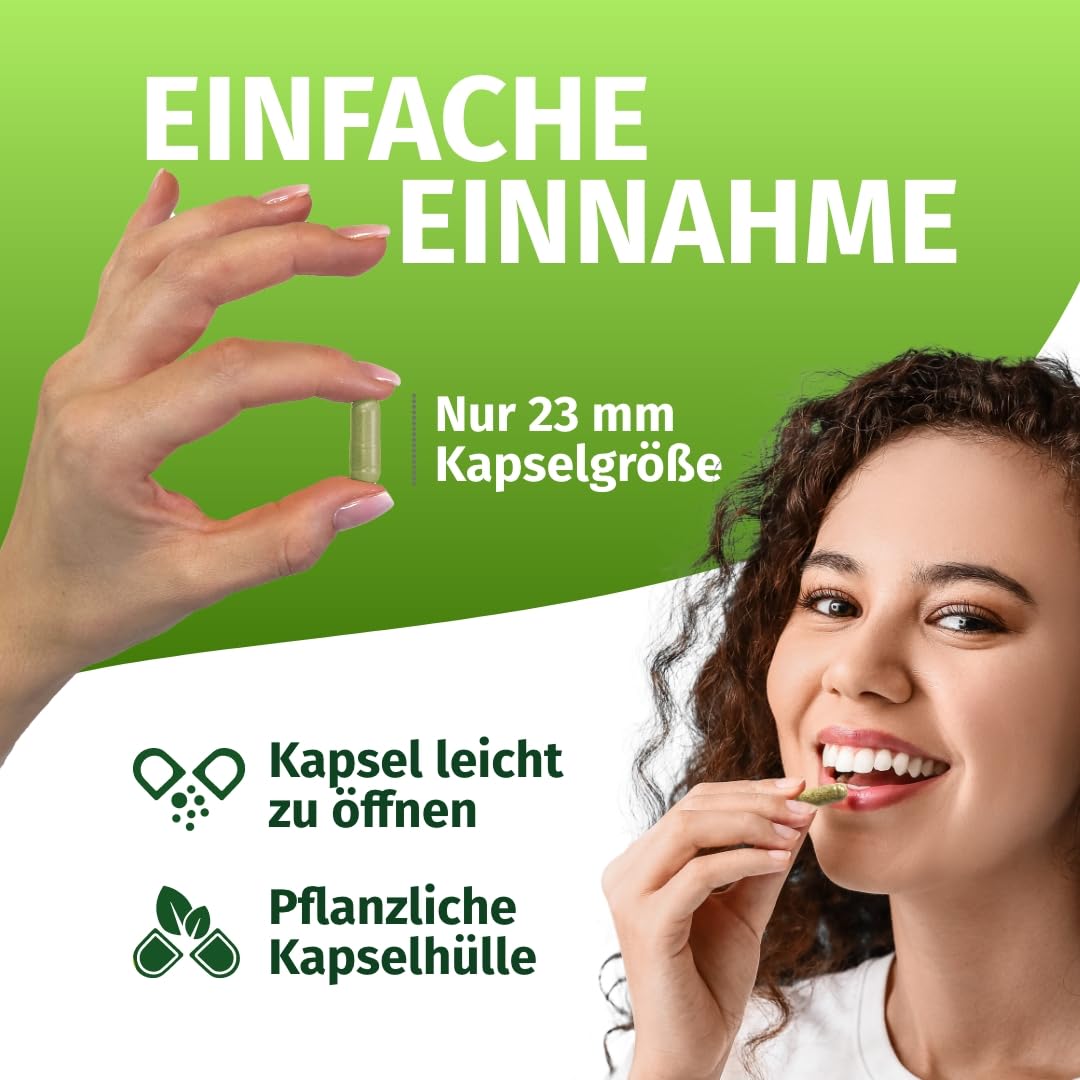 Green Naturals Gerstengras – Hochdosiert: 3.000 mg Extrakt – 365 Kapseln | 10:1 pro Tagesdosis · 3-Monatsvorrat · Laborgeprüft