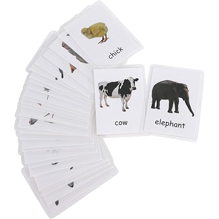 Amazon 英語単語カード 学習 カードゲーム プラスチック 防水 持ちやすい 英語教材 男の子女の子 幼稚園 小学校 誕生日 クリスマス プレゼント 入園祝い 英語 外国語 おもちゃ