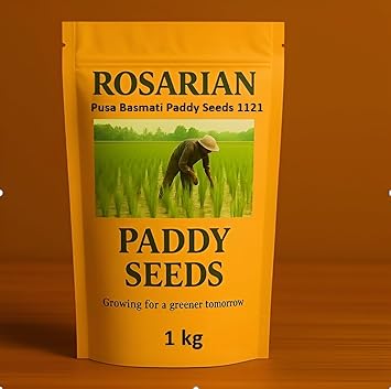 Pusa Basmati Paddy Seeds 1121 | Dhan, Rice & Paddy for Farming & Agriculture | Pure Pusa Basmati Rice Seeds | 1 Kg