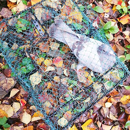 Dsqstmr Pigeon Bird Trap Trapping Hunting Quail Cage Sparrow Spring Starling Catching Net Traps For Trapping #TOP3