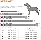 Taglory Hundehalsband, Weich Gepolstertes Neopren Nylon Hunde Halsband für Mittlere Hunde, Verstellbare und Reflektierend für das Training, Dunkelblau