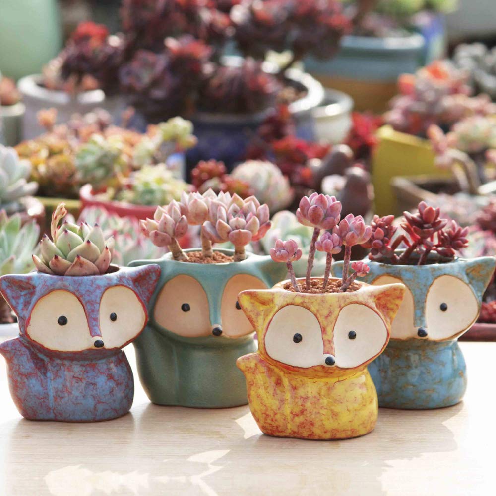 4 Pezzi Piccoli Vasi Per Piante Grasse A Forma Di Volpe In Ceramica Vasi Per Piante Carine Vasi Da Fiori Carini Fioriera Carina Mini Piante Grasse Vaso Piccoli Vasi Per Piante