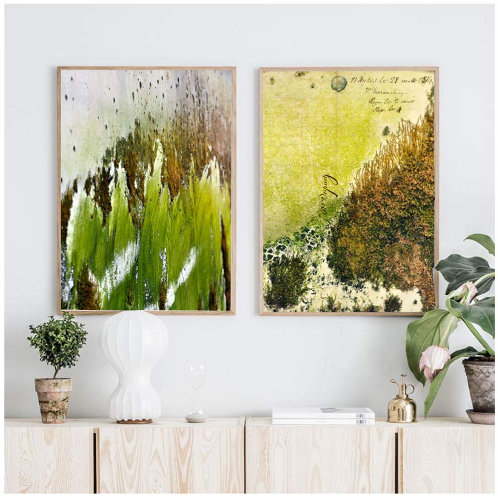 Imprimir lienzo pintura holandés musgo carteles y plantas verdes cuadros de pared para sala de estar arte moderno decoración del marco del hogar 60x80 cm x2 /23.6 "x 31.5" con marco