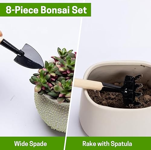 Miniatura 5 de Zelar Made - juego de bonsai de 8/6 piezas. Incluye podador, tijeras plegables, pequeño rastrillo, recortadora de brotes y hojas