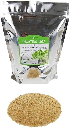Handy Pantry Organic Whole Hull Intact Millet Seeds 2.5 Lb - Cereal Grain - Sprouting Seed - Non-GMO, Animal Feed & Bird Seed