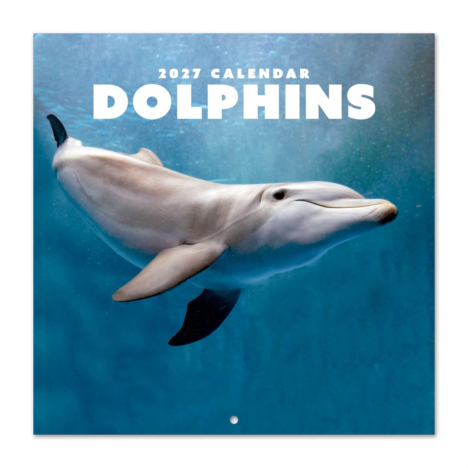 Grupo Erik Dolphins Wall Calendar 2027 UK - Dolphin Animal Gifts โ image 1