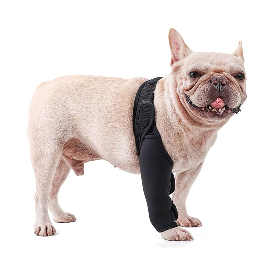 2024年11月新発売! アニサポ ニー anifull 犬用 膝サポーター 前