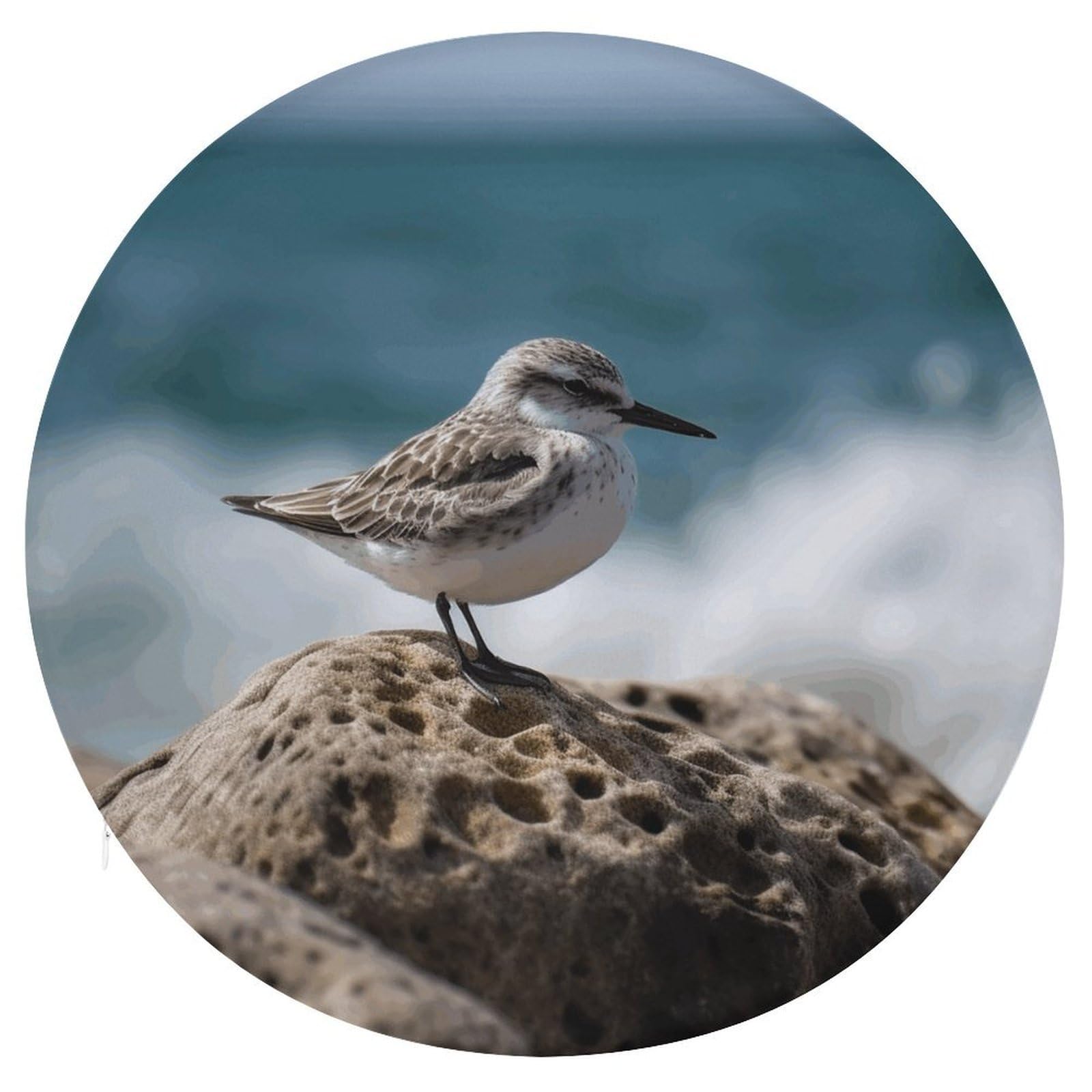 Wsoihfec Style Bird Perching On The Rock Seat Cushion Round Chair Pad