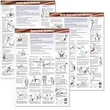 Anatomical Stretching Charts (Set of 3)