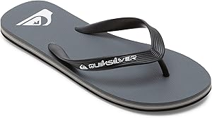 QUIKSILVER メンズ MOLOKAI CORE ビーチサンダル