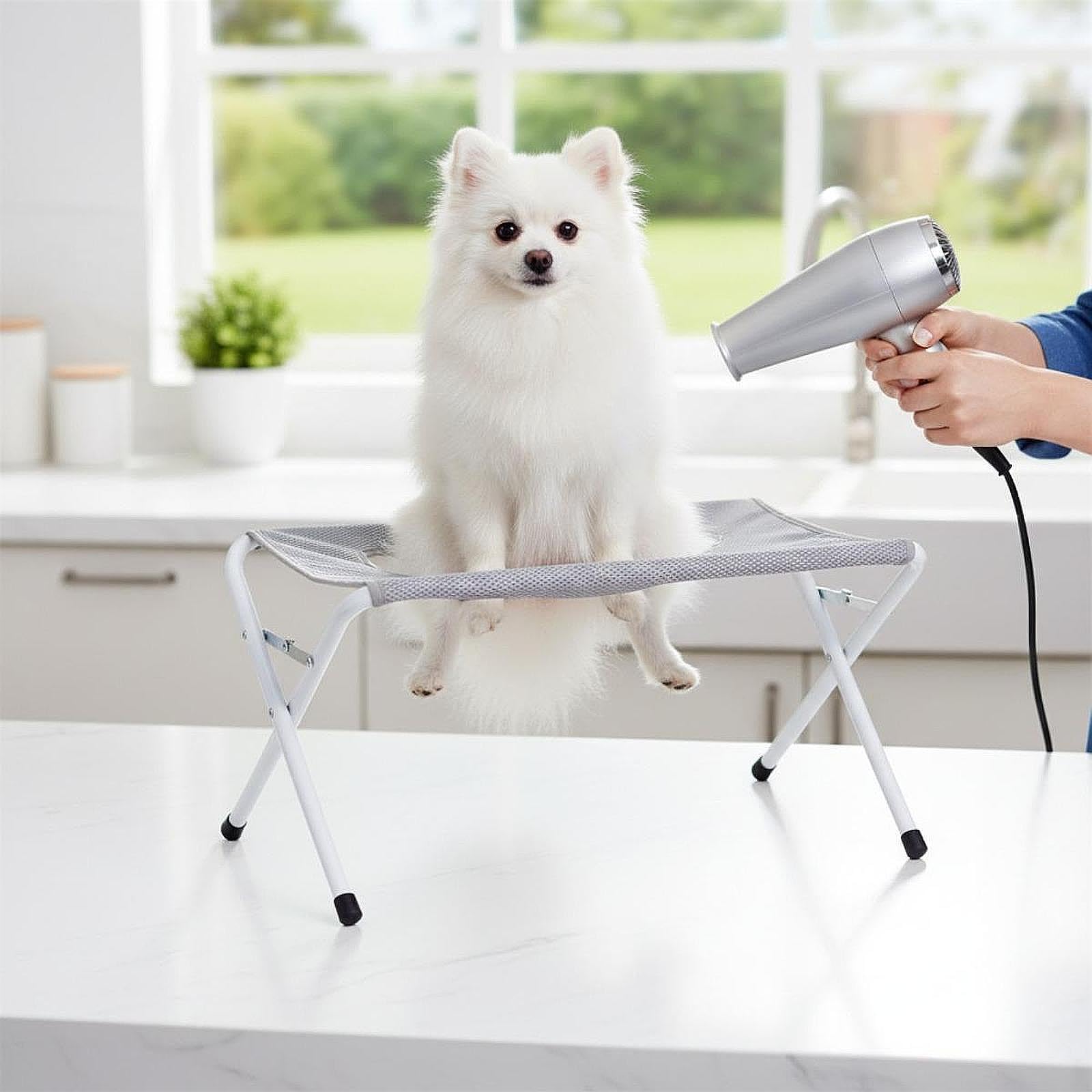 Tavolo per La Toelettatura dei Cani, Postazione di Toelettatura Professionale Multifunzionale.