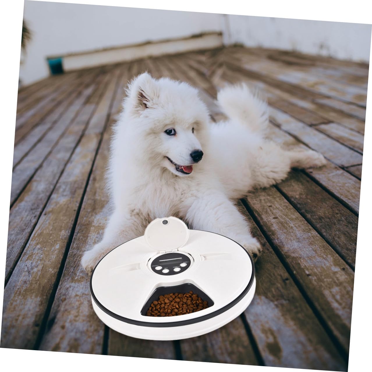 Alimentador Automático Temporizado para Mascotas de 90g Negro Abs | Dispensador de Comida para Perros, Diseño Desmontable y Almohadilla Antideslizante, para Colocar Esquina
