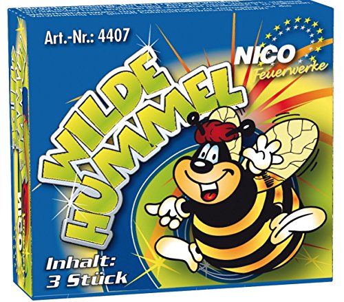 Preisvergleich Produktbild Jugendfeuerwerk