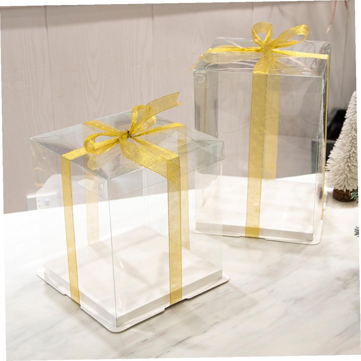 5pcs Transparent Double Layer Cake Boxes Reusable Dessert Packing Containers for Birthday Party Outdoor Travel Cake Carrier