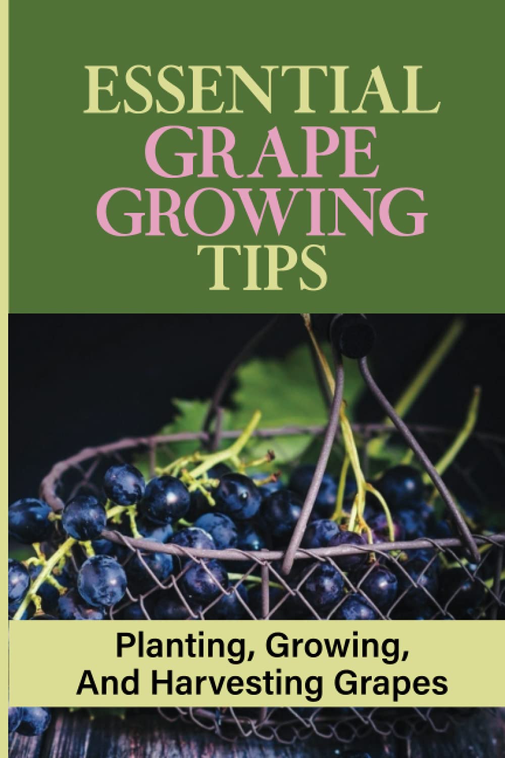 Essential Grape Growing Tips: Planting, Growing, And Harvesting Grapes: Selecting The Types Of Grapes You Would Like To Grow