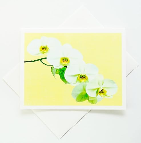 Miniatura 5 de Orchid - Tarjetas de notas fotográficas de lino pesado, 8 con 10 sobres a juego, juego en caja (4.25 x 5.50 pulgadas) en blanco en el interior,