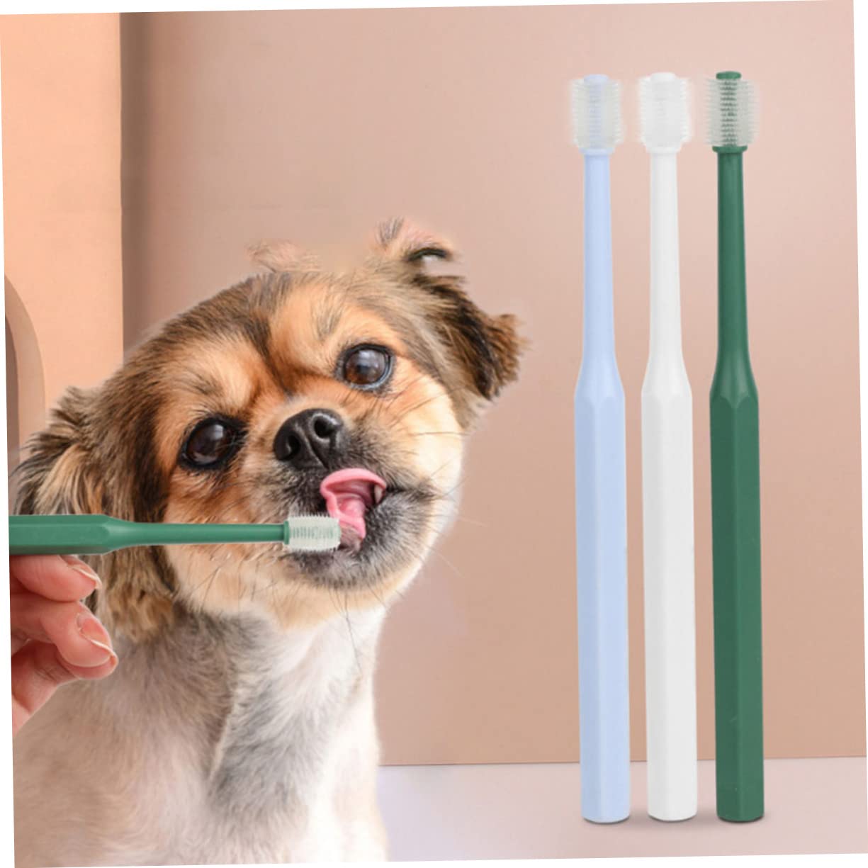 FRCOLOR 12pièces Kit De Brosses à Dents Pour Animaux Brosse à Dents Douce Pour Chiens Et Chats Nettoyage Oral Ergonomique Et Pratique Degrés Couleur Verte Et Blanche