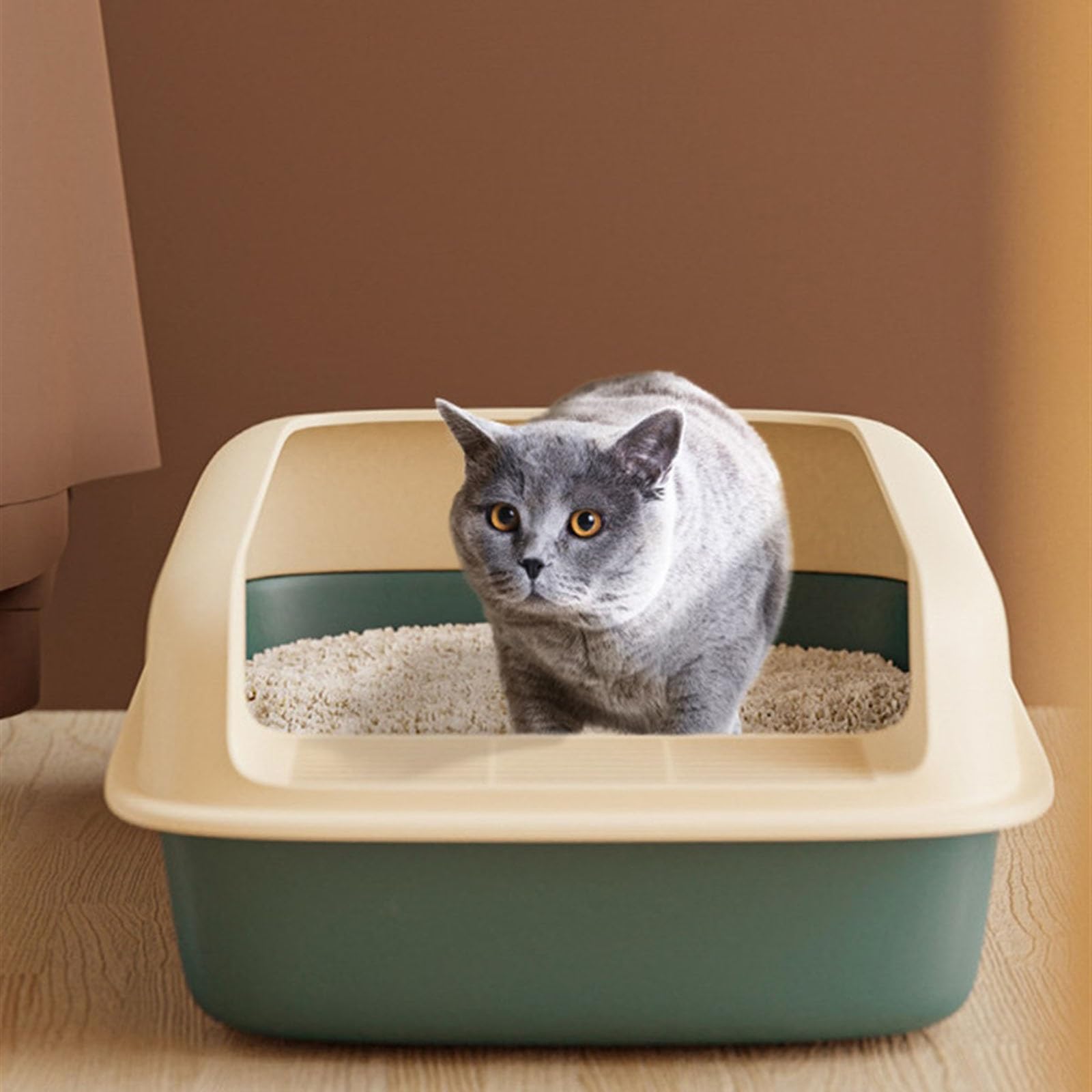 Bac à litière ouvert pour chats et chiens uniquement, semi-ouvert anti-éclaboussures, tamis haut durable pour petits chats, facile à nettoyer et à assembler, utilisation en intérieur (amande