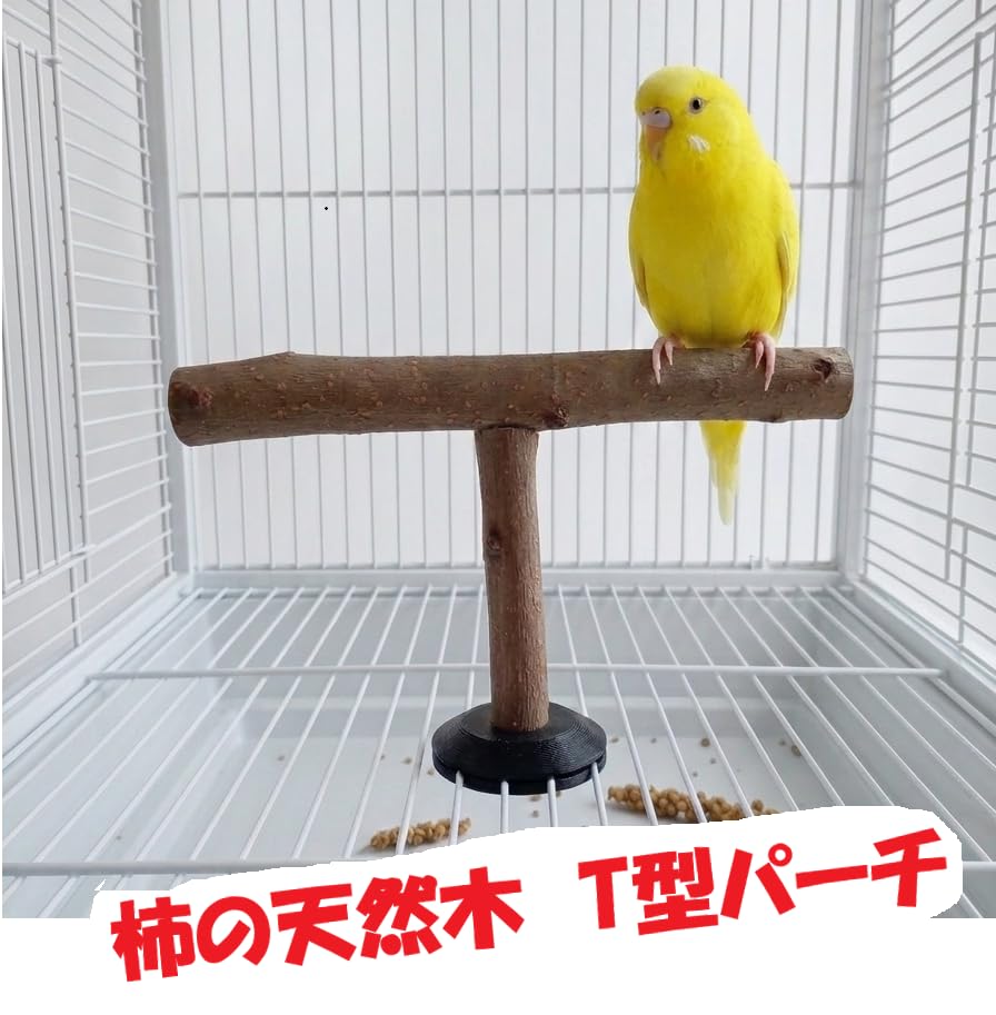 Amazon | T型パーチ＜柿の天然木＞止まり木、文鳥、インコ、オウム