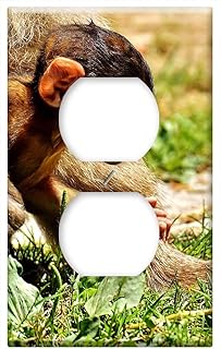 Switch Plate Outlet Cover - Ape Baby Monkey Grapes Curious Barbary Ape 1