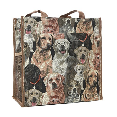 David Jones - Borsa a Tracolla Spalla Piccola Uomo - Borsello Nylon