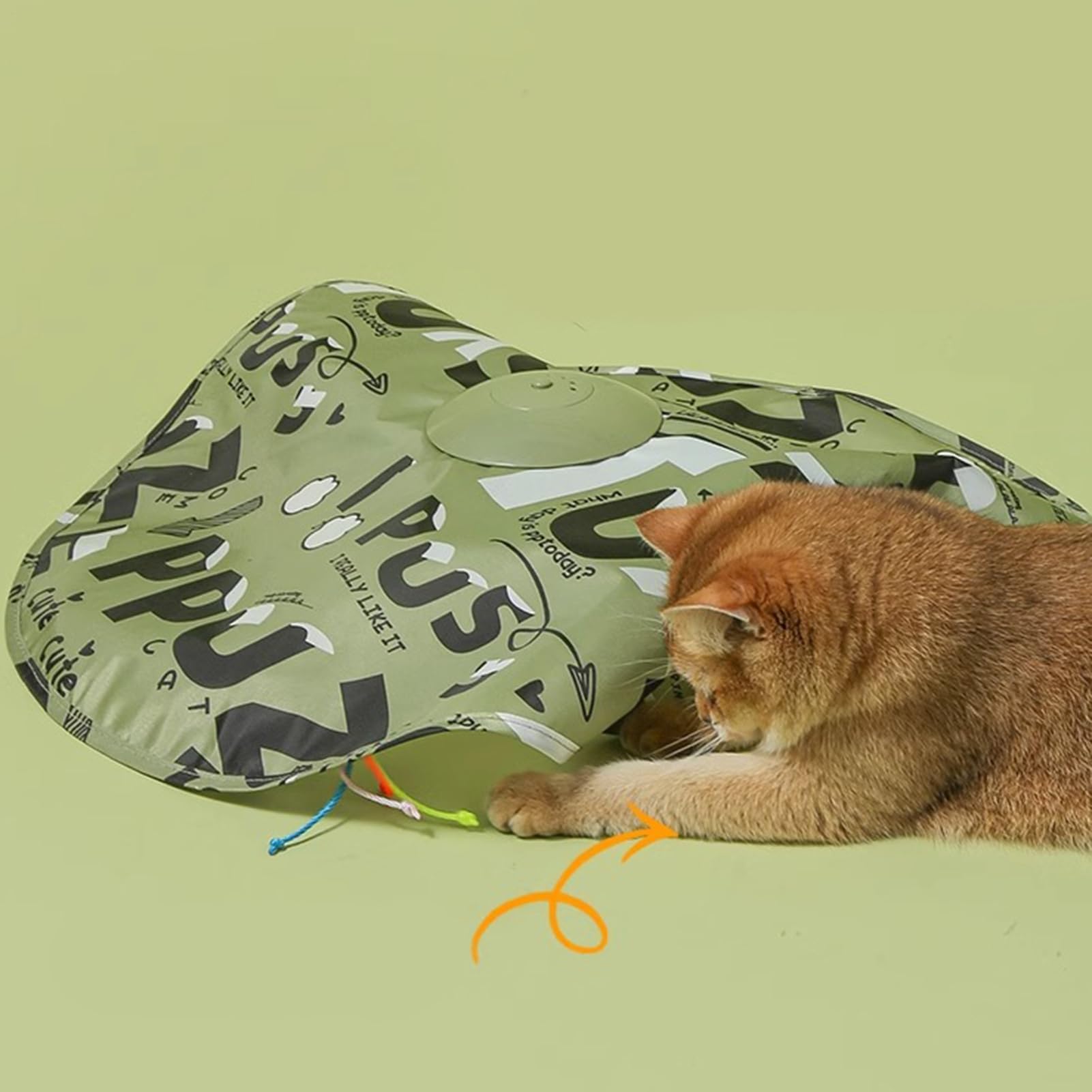 Interaktives Katzenspielzeug Interaktives Kätzchenspiel, Haustieraktivität,