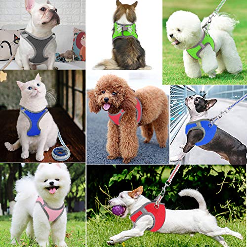 Jsxd Small Dog Harness,Puppy Harness,Adjustable Leash And Collar Set For Small Dogs,Step-In Dog Harness,3M Reflective Pet Dog Vest For Small Medium Puppy #TOP6