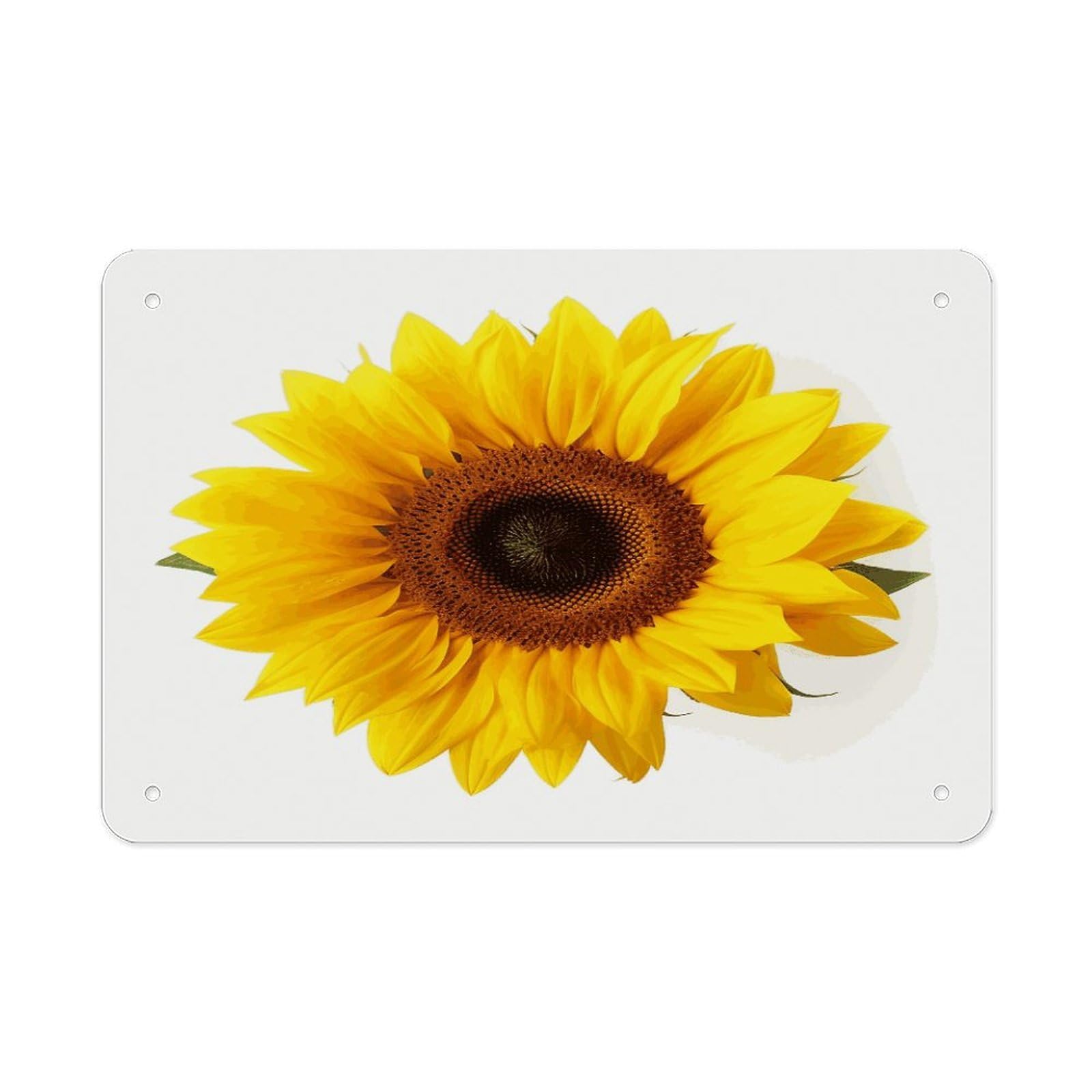 LDGSUPH Sunflower Isolated Metal Tin Sign Wall Art Prints Folded Edge Iron Sheet Painting with Holes for Wall Prints Decorative Picture Metal Signboard Decor Painting Wall Decor