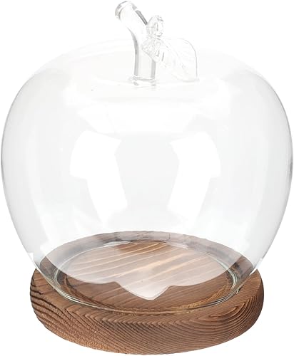 PATKAW Cúpula de cristal con base de madera en forma de manzana terrario de flores preservadas para decoración del hogar