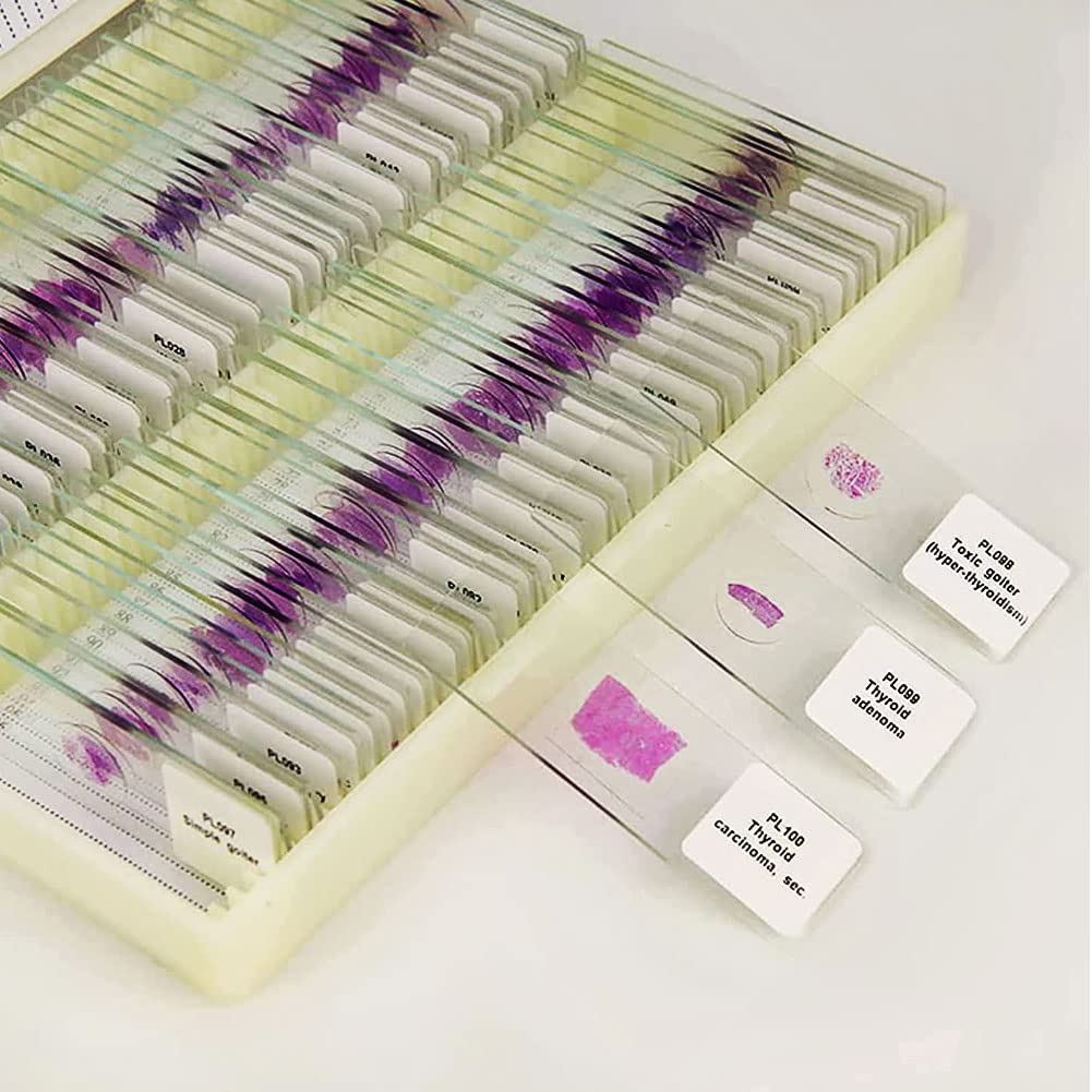 HE Stain szkiełka mikroskopowe z komórek ludzkich – 100 szt. szkiełek histopatologicznych do badań biologii laboratoryjnej, wyraźne obrazowanie, jednolite farbowanie, wysoka przejrzystość – idealne do