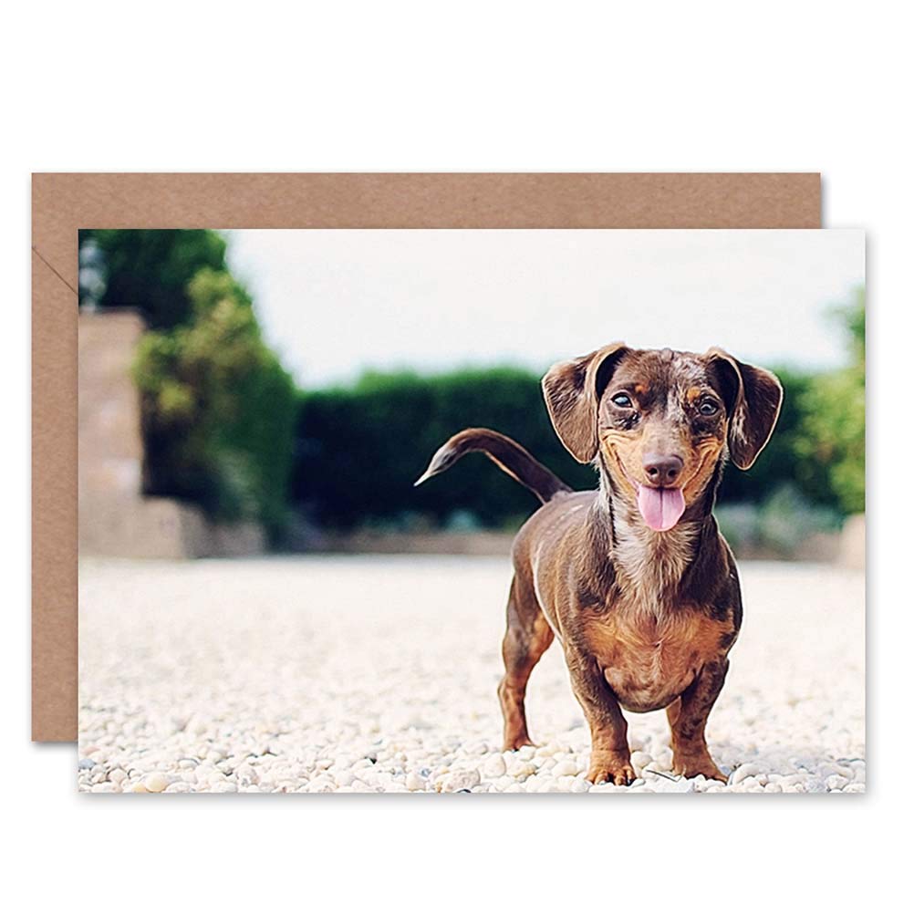 Wee Blue Coo GREETINGS CARD BIRTHDAY GIFT ANIMAL DOG PUPPY CUTE