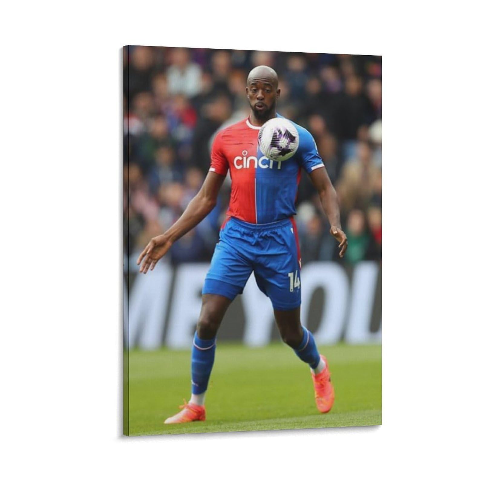 ASUIU Philippe Mateta Canvas Poster Canvas Wall Art Poster Decorative Modern Home Print Picture Artworks Posters 20x30inch(50x75cm)