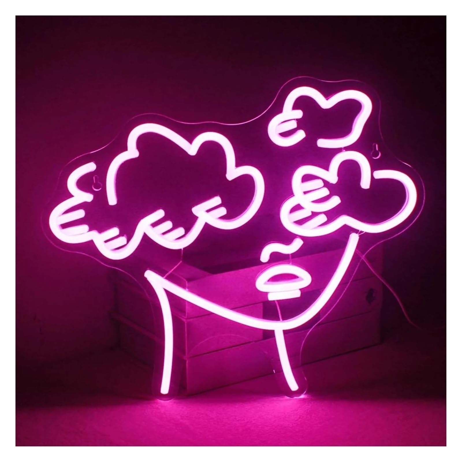 Lampe Néon à intensité variable avec alimentation stable pour éclairage de fête - 5