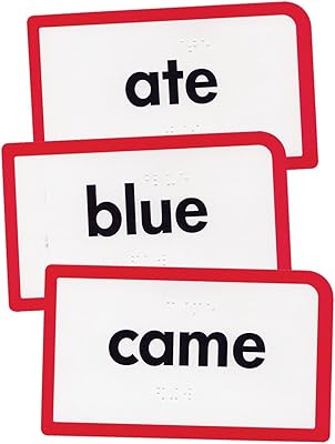Low Vision-Braille Flash Cards- Sight Words A