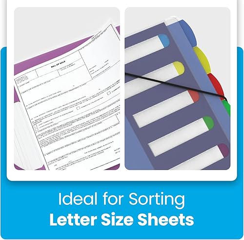 Miniatura 3 de Pendaflex PileSmart Project Sorter, Letter Size (50995)