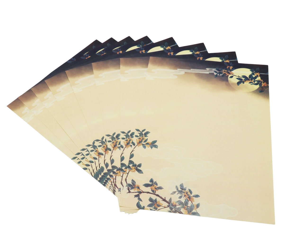 Southern Style Paper Assorted Patterned Paper SOOKOO 48 Sheets Vintage Floral Stationery ...