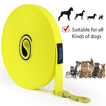 Vivifying Schleppleine 10M Für Hunde - Lange Nylon Leine Mit Handschlaufe