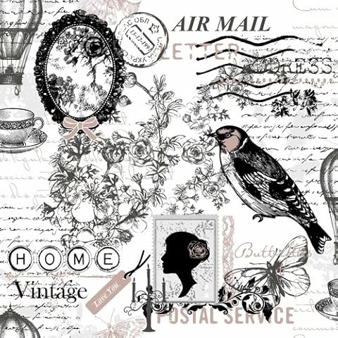 20 Vintage Air Mail Paper Napkins Cover