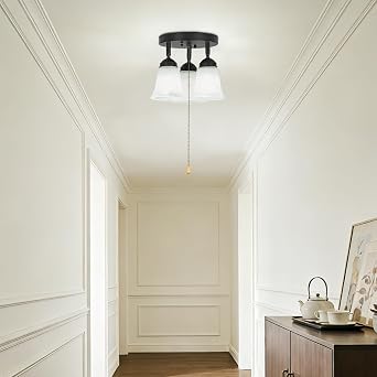 3-Light Flush Mount Ceiling Light with Pull Chain Alabaster Glass Low Profile Lighting Fixtures for Kitchen Living Room Dining Room Closet, Black