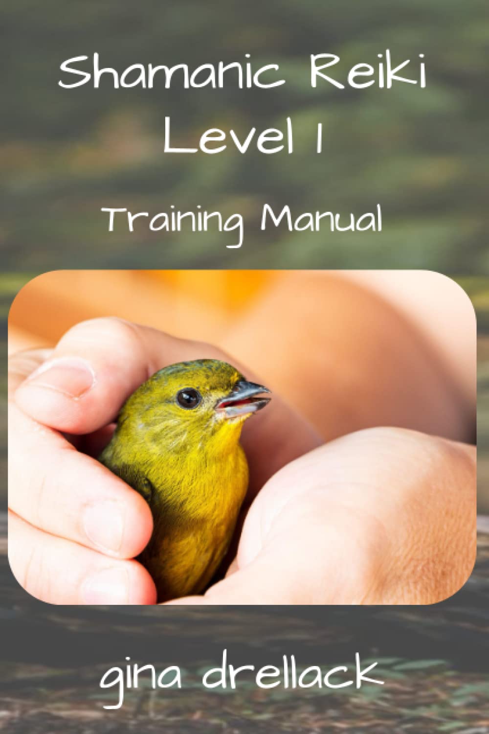Shamanic Reiki: Level 1 Practitioner Training Manual (Shamanic Reiki Certification Training Class Manuals)