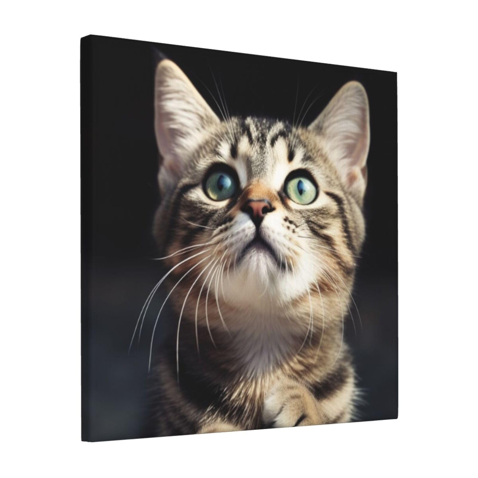 KLOPH Cat Canvas Wall Art for Living Room 12"x12" Modern Artwork Painting for Bathroom Hanging Canvas Prints Aesthetic Wallart for Bedroom Kitchen Office Wall Decor