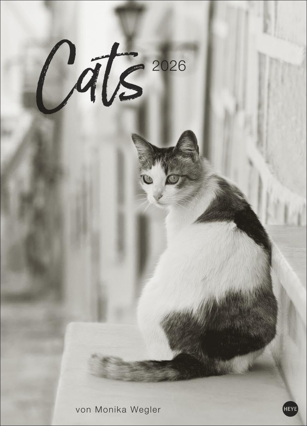 Cats Edition Kalender 2026: Elegante Samtpfoten in schwarz-weiß in einem XXL-Kalender. Tierkalender 2026 im Großformat. Hochwertiger großer Fotokalender für Katzenfans.