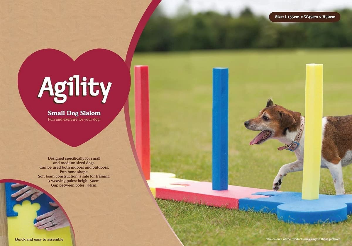 Amazon | Rosewood 犬用アジリティ スモールドッグスラローム