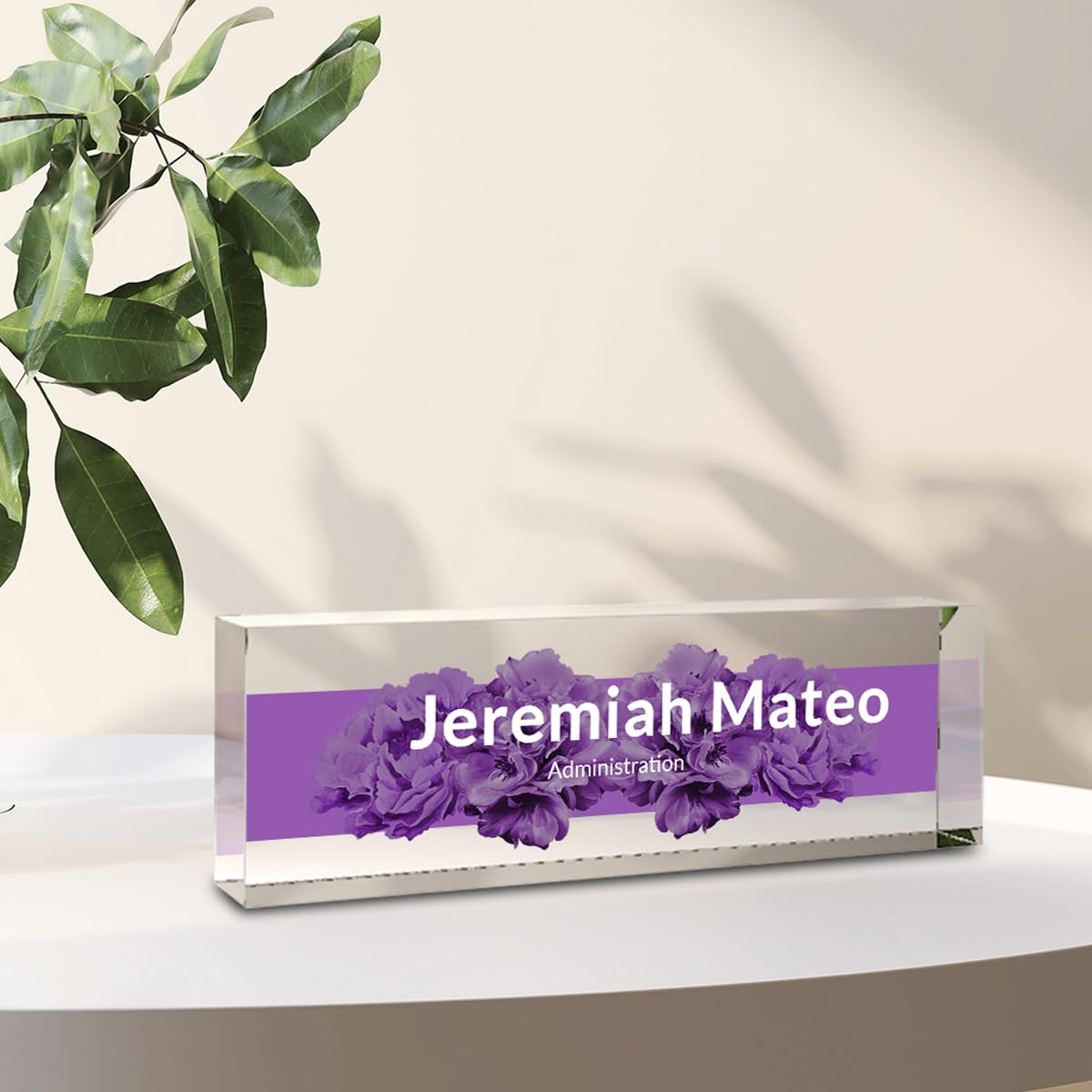 MXZLBY Office Desk Name Plate Personalized, Custom Name Plates for Desks on Acrylic Glass, Personalized Desk Decorations, Boss Lady Gifts for Women (
