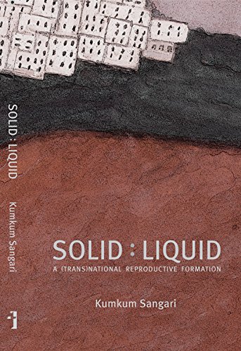 Preisvergleich Produktbild Solid : Liquid: A (Trans)national Reproductive Formation