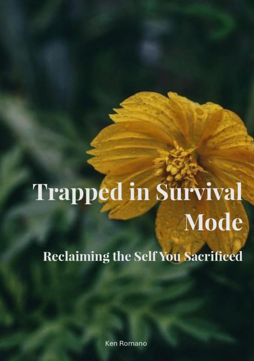 Trapped in Survival Mode: Reclaiming the Self You Sacrificed
