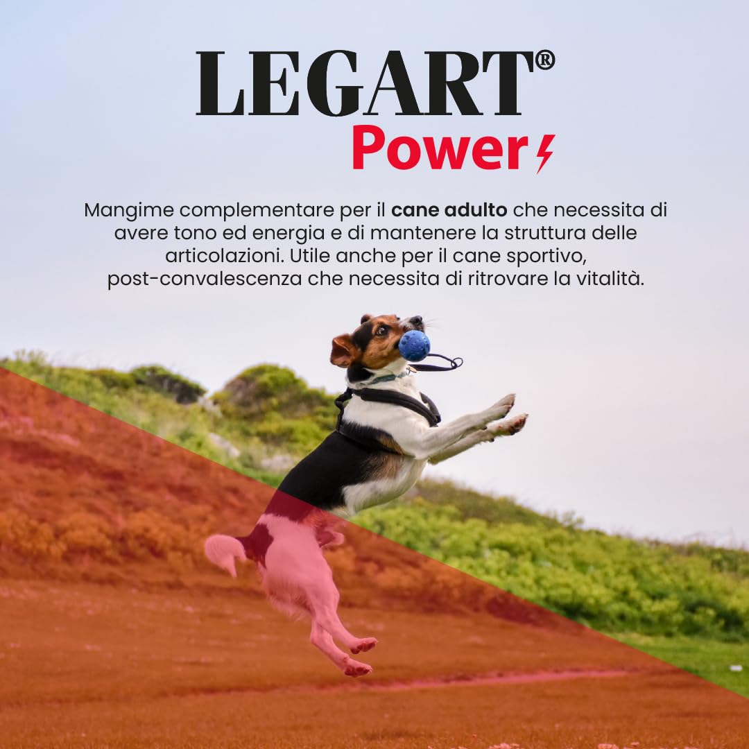 Aurora Biofarma Legart Power 60 Compresse - Mangime Complementare per Cani e Gatti - Utile per Forza, Vitalità e Articolazioni