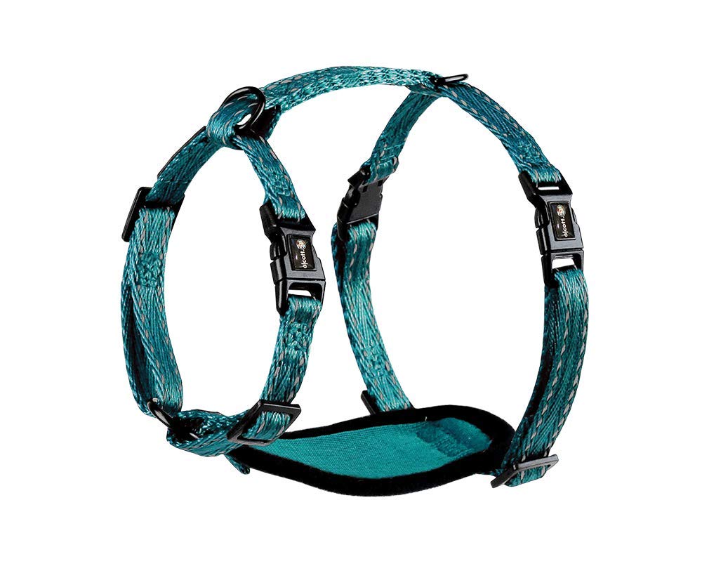 AlcottAdventure Harness Extra Small, Blue (HNS AH XS BL)