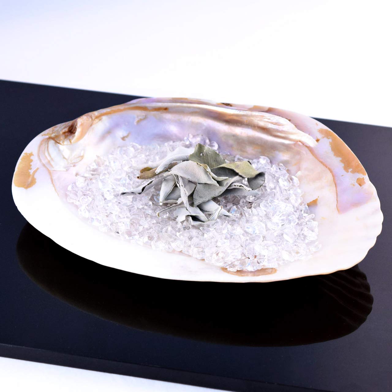 Amazon.co.jp: イケチョウ貝 パールシェル 浄化 セット ホワイトセージ