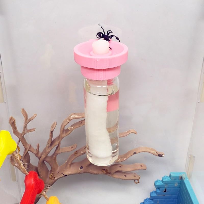 Bebedouro Magnético para Aranhas-Saltadoras em PLA Rosa 15 mL Daerky
